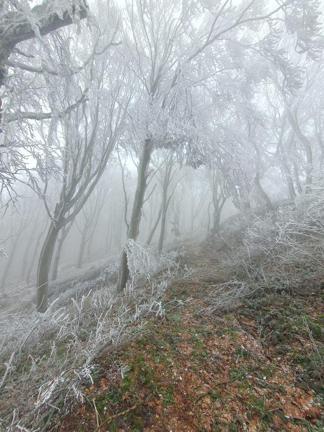 Kırklareli’nin yüksek kesimleri beyaza büründü 5
