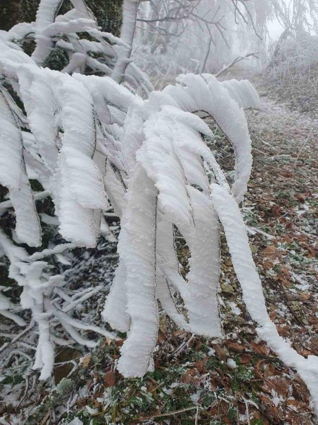 Kırklareli’nin yüksek kesimleri beyaza büründü 4