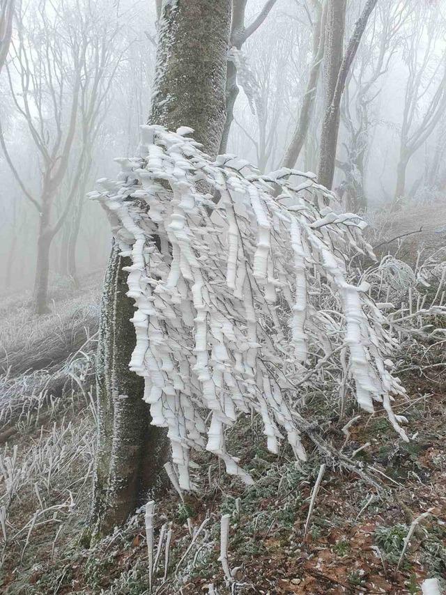Kırklareli’nin yüksek kesimleri beyaza büründü 3