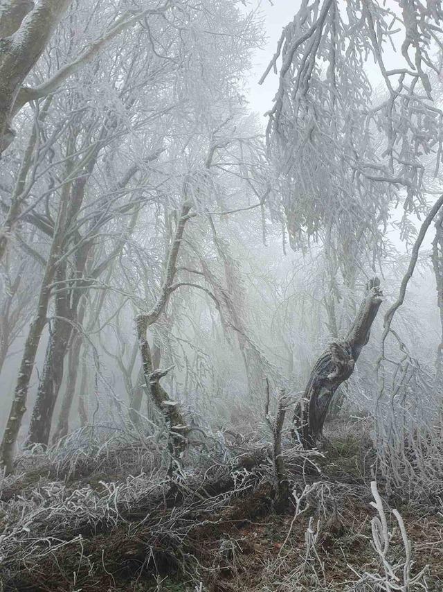 Kırklareli’nin yüksek kesimleri beyaza büründü 2