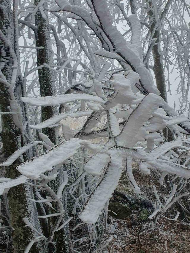 Kırklareli’nin yüksek kesimleri beyaza büründü 1