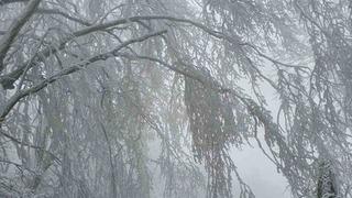 Kırklareli’nin yüksek kesimleri beyaza büründü