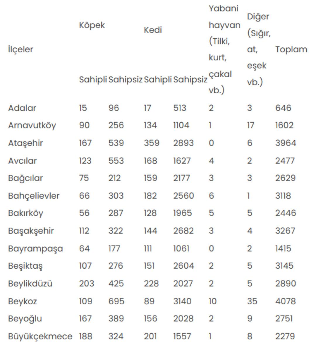 İstanbul da kuduz alarmı! Yaklaşık 124 bin kişi hastaneye koştu, en &ccedil;ok vakanın yaşandığı il&ccedil;e belli oldu 3