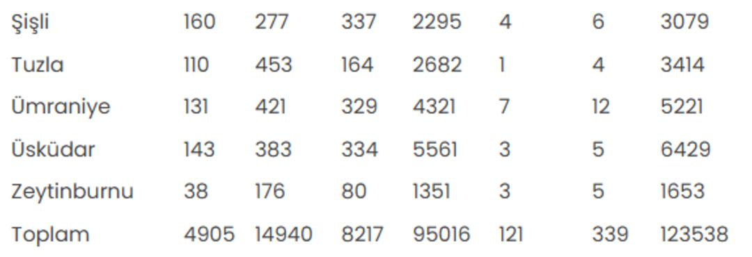 İstanbul da kuduz alarmı! Yaklaşık 124 bin kişi hastaneye koştu, en &ccedil;ok vakanın yaşandığı il&ccedil;e belli oldu 5