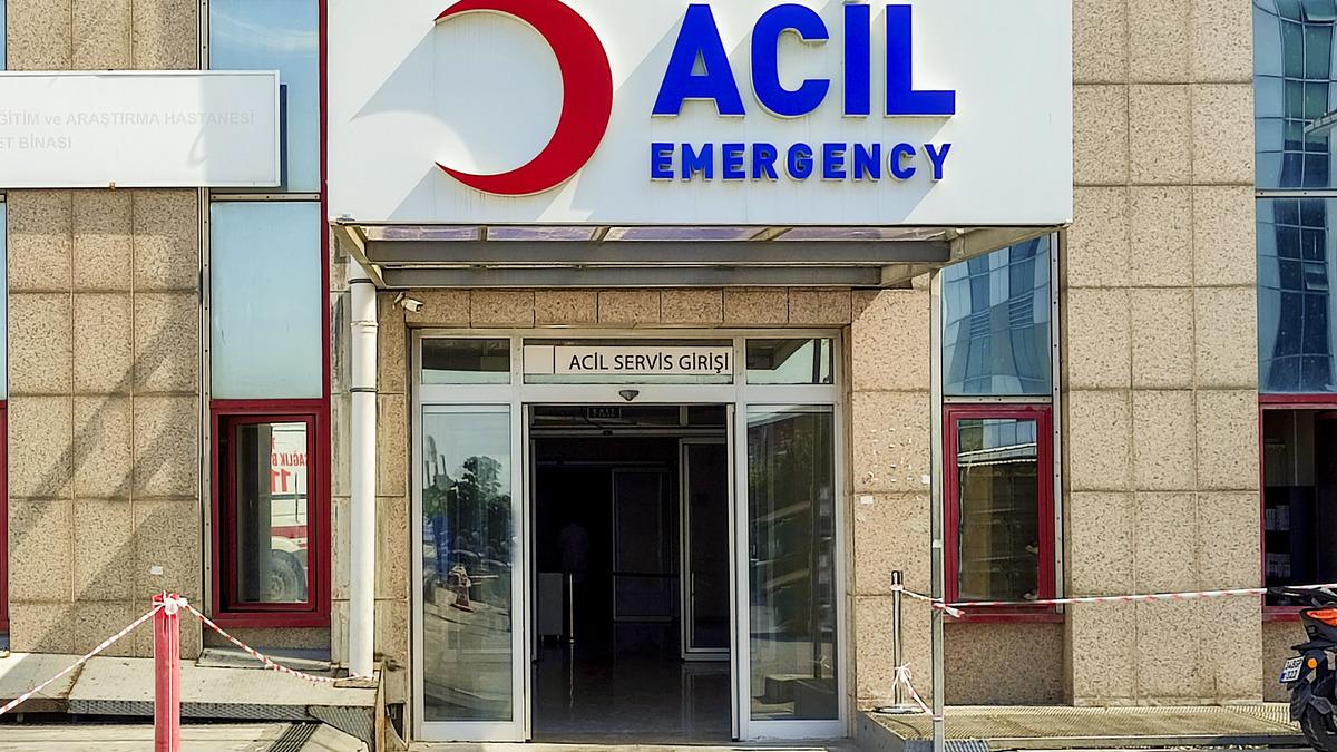 İstanbul'da kuduz alarmı! Yaklaşık 124 bin kişi hastaneye koştu, en çok vakanın yaşandığı ilçe belli oldu - Sağlık Haberleri