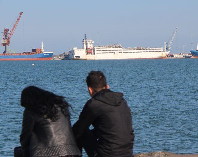 Samsun'u gemi ile getirilen ithal büyükbaşların kokusu sardı