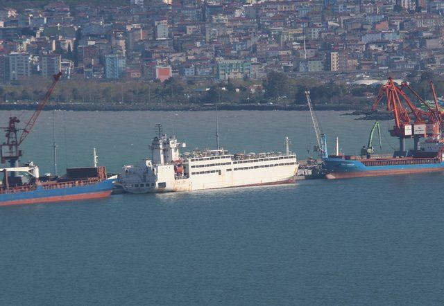 Samsun'u gemi ile getirilen ithal büyükbaşların kokusu sardı