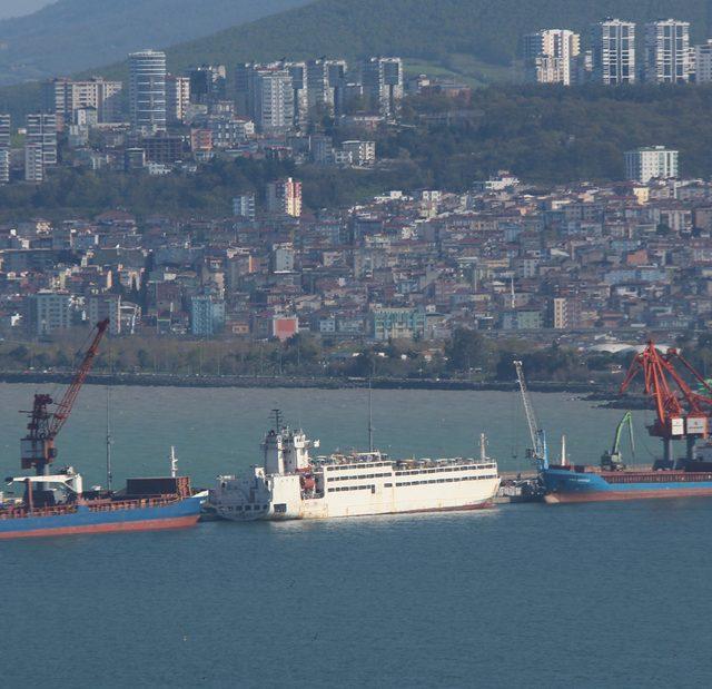 Samsun'u gemi ile getirilen ithal büyükbaşların kokusu sardı