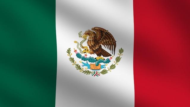 T&uuml;rkiye'nin Meksika B&uuml;y&uuml;kel&ccedil;iliğinden &uuml;lkedeki olaylara y&ouml;nelik a&ccedil;ıklama