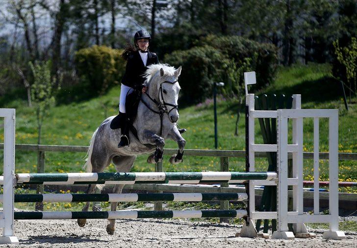 Başkentte binicilik heyecanı G1