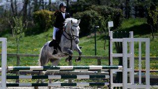 Başkentte binicilik heyecanı