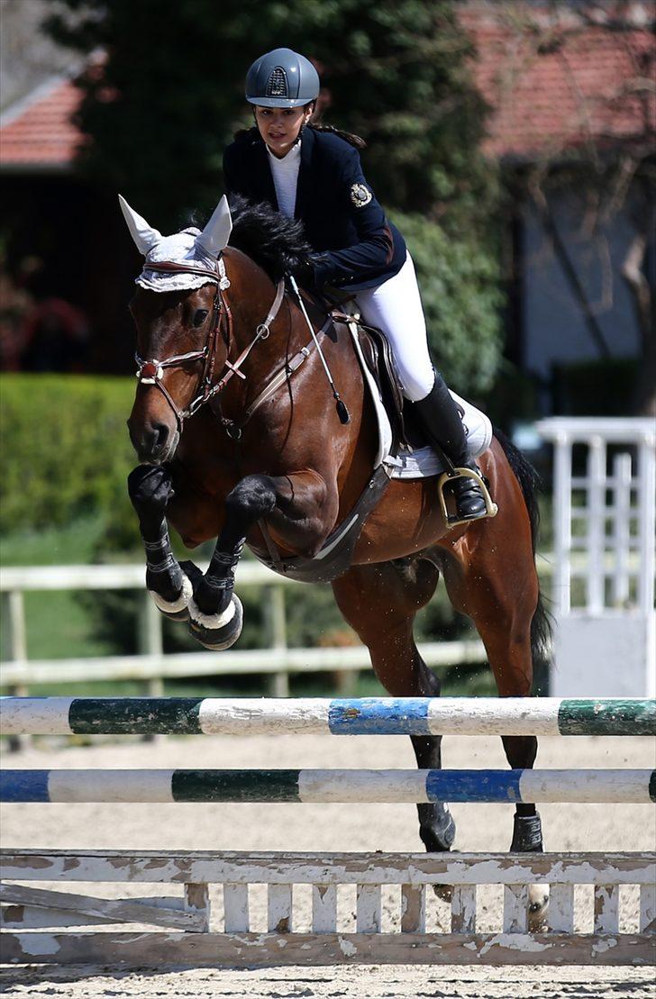 Başkentte binicilik heyecanı G2