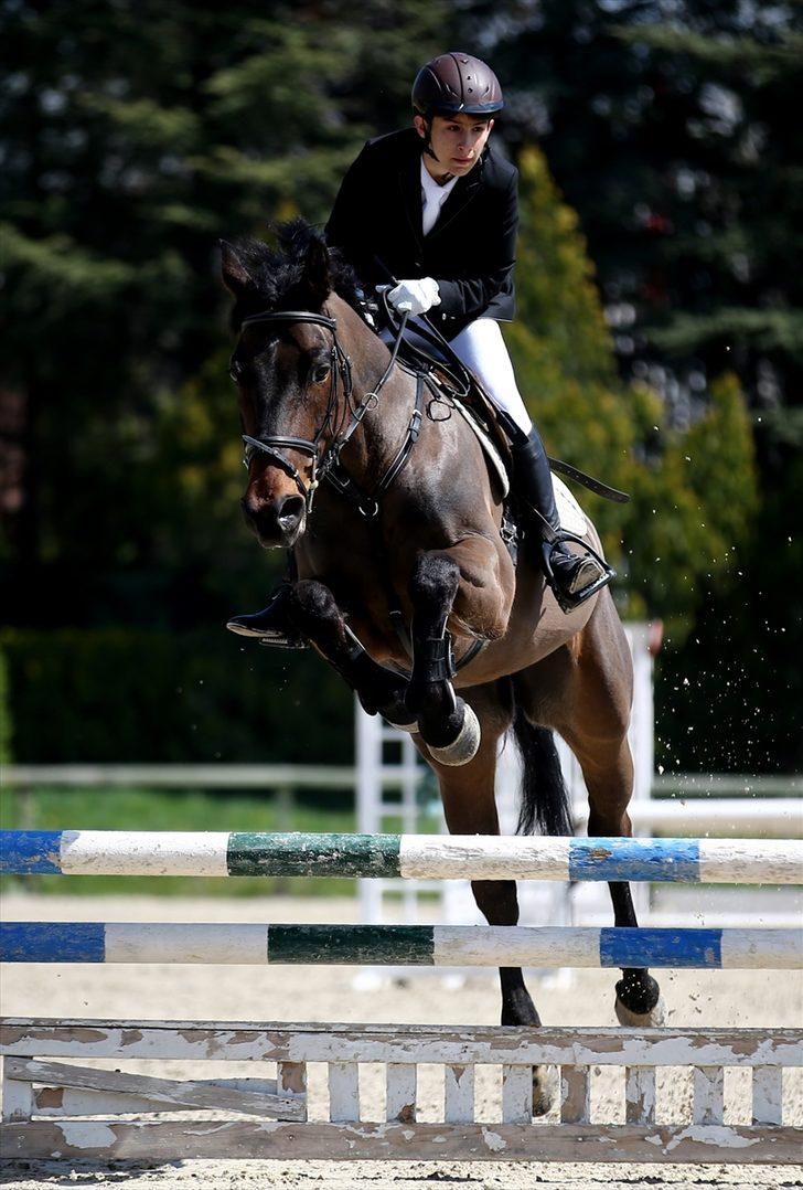 Başkentte binicilik heyecanı G5