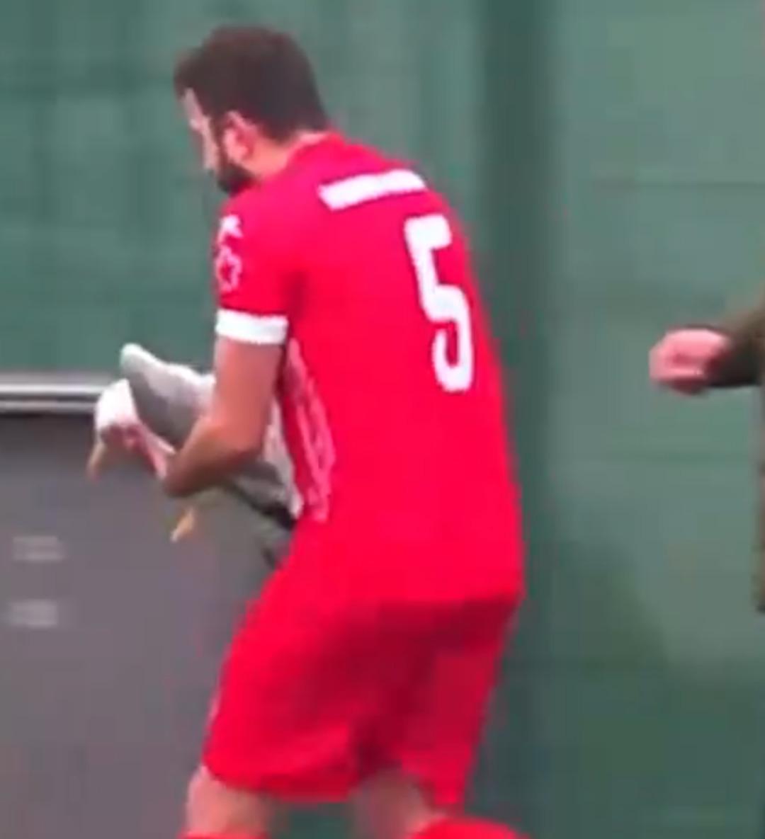 Maç sırasında akılalmaz olay! Top martıya çarptı, yürek masajıyla hayata döndü  2