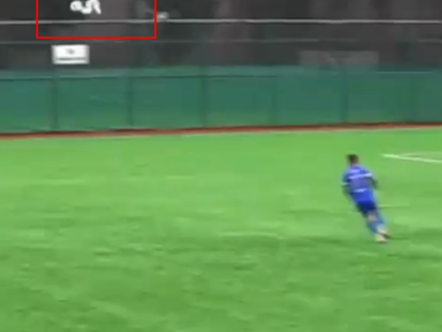 Ma&ccedil; sırasında inanılmaz olay! Top martıya &ccedil;arptı, kalp masajıyla hayata d&ouml;nd&uuml; 