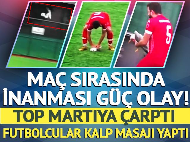 Ma&ccedil; sırasında inanılmaz olay! Top martıya &ccedil;arptı, kalp masajıyla hayata d&ouml;nd&uuml; 