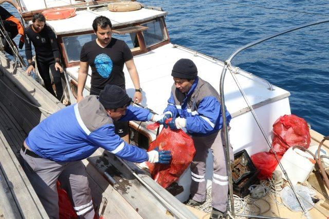 Bodrum Adaboğazı koyu tertemiz oldu