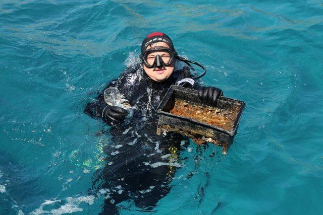 Bodrum Adaboğazı koyu tertemiz oldu