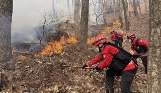 G&uuml;ney Kore&rsquo;de 3 g&uuml;nd&uuml;r devam eden orman yangınında 190 hektarlık alan k&uuml;le d&ouml;nd&uuml;