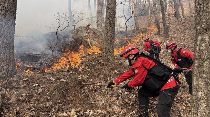 G&uuml;ney Kore&rsquo;de 3 g&uuml;nd&uuml;r devam eden orman yangınında 190 hektarlık alan k&uuml;le d&ouml;nd&uuml;