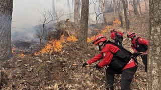 Güney Kore’de 3 gündür devam eden orman yangınında 190 hektarlık alan küle döndü