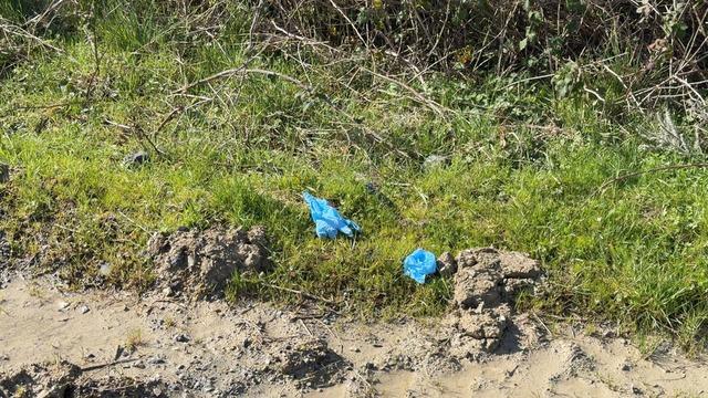 Çinli iş insanı İstanbul da ölü bulunmuştu! Kaçırılma anları ortaya çıktı: Yaka paça götürmüşler 2