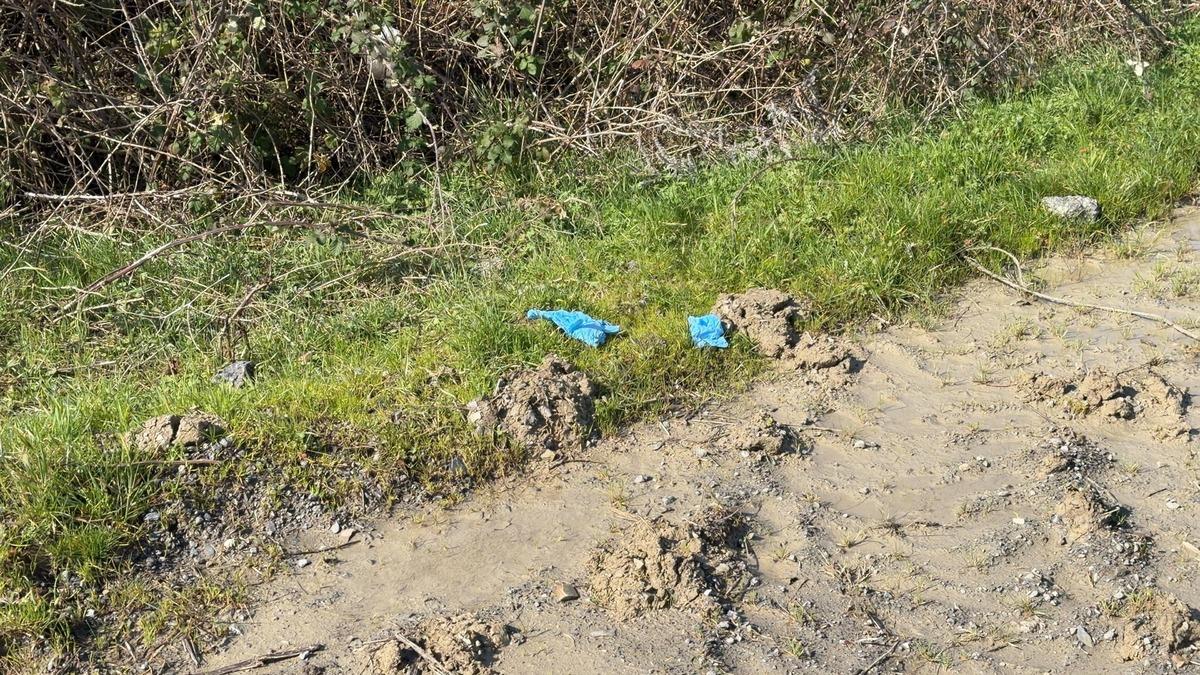 İstanbul'da tüyleri diken diken eden olay! 1 aydır aranan Çinli iş insanı korkunç halde bulundu