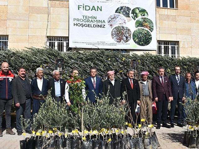 Şırnak'ta y&uuml;zde 75 hibeyle &ccedil;ift&ccedil;ilere 25 bin 200 meyve fidanı dağıtıldı