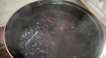 Hem acıktırmayan hem susatmayan lezzet: Ramazan şerbeti