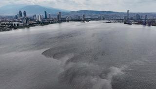 Hepsi İzmir K&ouml;rfezi'nden toplandı! Midyelerde Hepatit vir&uuml;s&uuml; &ccedil;ıktı