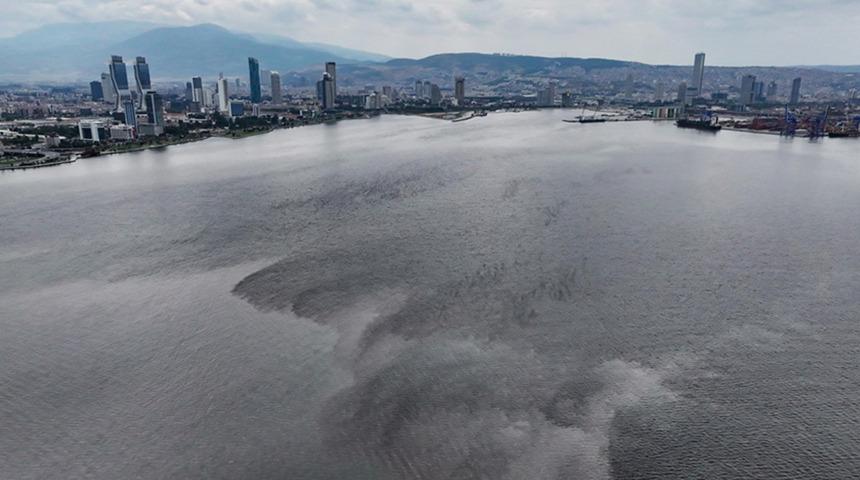 Hepsi İzmir K&ouml;rfezi'nden toplandı! Midyelerde Hepatit vir&uuml;s&uuml; &ccedil;ıktı