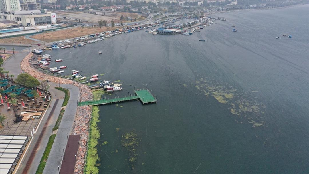 Hepsi İzmir K&ouml;rfezi nden toplandı! Midyelerde Hepatit vir&uuml;s&uuml; &ccedil;ıktı 1