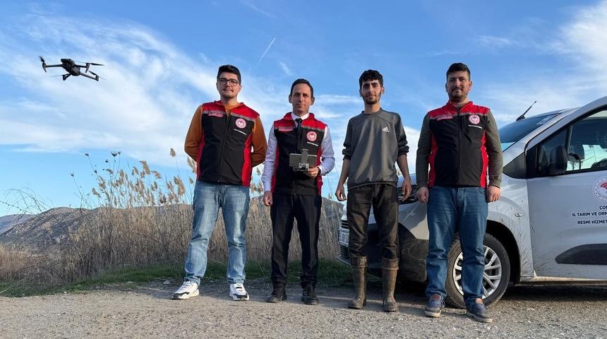 Kargı&rsquo;da kayıp buzağı 72 saat sonra dron ile bulundu