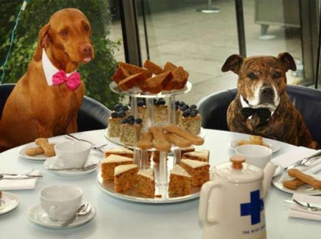 Bu fotoğraflar ger&ccedil;ek mi?