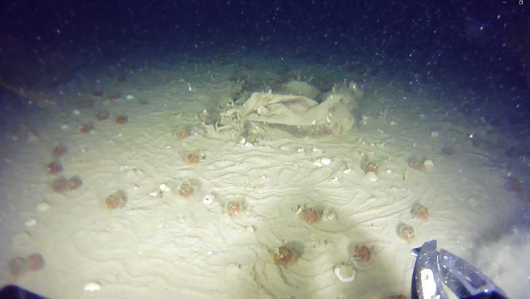 51 yıl &ouml;nce d&uuml;şm&uuml;şt&uuml;! Marmara Denizi nde THY enkazı arama &ccedil;alışması 2