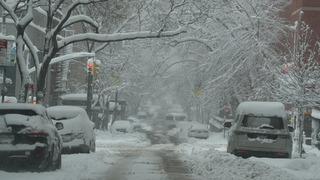 ABD'de tarihe geçen kar fırtınası! 10 binden fazla uçuş iptal, yüzbinlerce kişi elektriksiz