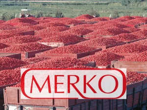 Merko Bedelli mi Yapacak Bedelsiz mi? Sermaye Tavanı Artırıldı