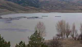 Kurumaya y&uuml;z tutmuştu! O barajda doluluk oranı y&uuml;zde 50 seviyelerine yaklaştı