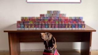 Bolu’da 150 adet elektronik sigara ele geçirildi