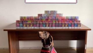 Bolu&rsquo;da 150 adet elektronik sigara ele ge&ccedil;irildi