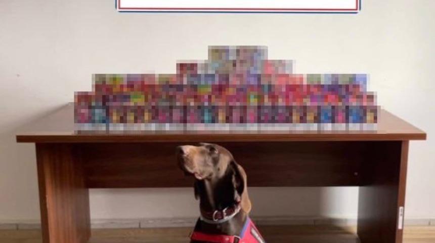 Bolu&rsquo;da 150 adet elektronik sigara ele ge&ccedil;irildi