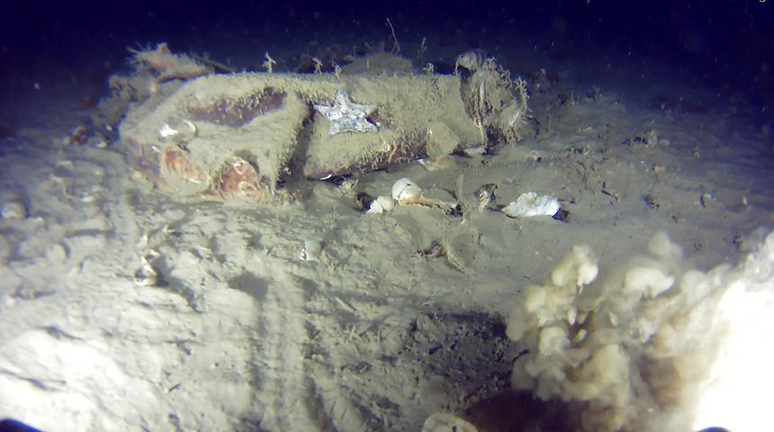 51 yıl &ouml;nce d&uuml;şm&uuml;şt&uuml;! Marmara Denizi'nde THY enkazı arama &ccedil;alışması