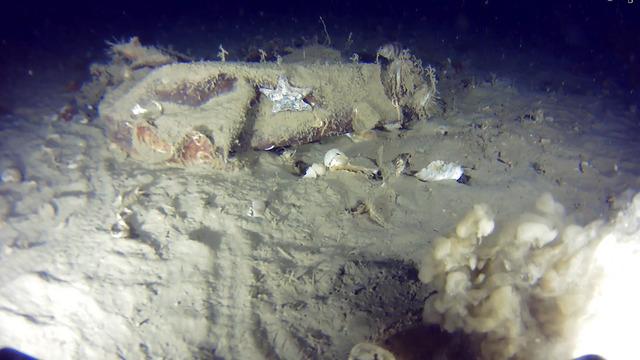 51 yıl önce düşmüştü! Marmara Denizi'nde THY enkazı arama çalışması