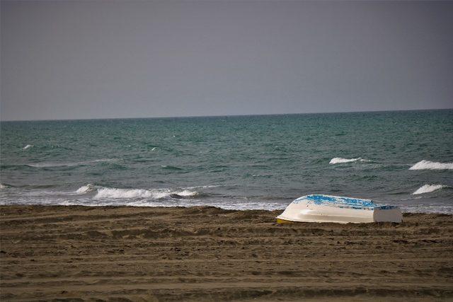 Karadeniz’de deniz suyu sıcaklığında rekor beklentisi