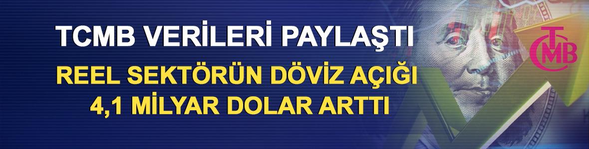 TCMB verileri paylaştı: Reel sekt&ouml;r&uuml;n d&ouml;viz a&ccedil;ığı 4,1 milyar dolar arttı 