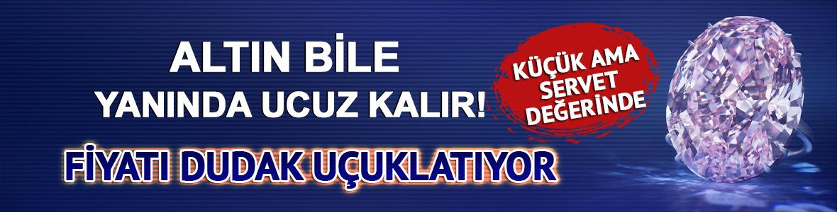 Altın bile yanında ucuz kalır! Fiyatı dudak u&ccedil;uklatıyor: K&uuml;&ccedil;&uuml;k ama servet değerinde