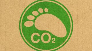 Doğadaki imzamız: Ekolojik Ayak İzi