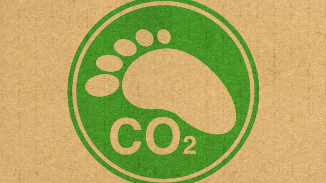 Doğadaki imzamız: Ekolojik Ayak İzi