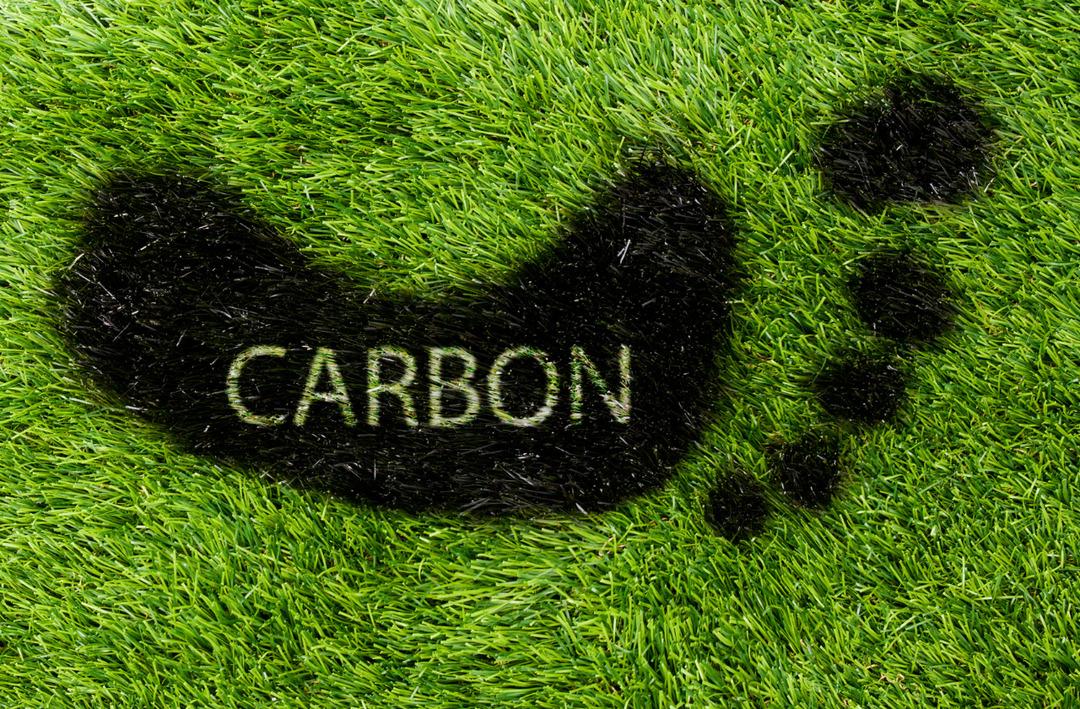 Doğadaki imzamız: Ekolojik Ayak İzi 2