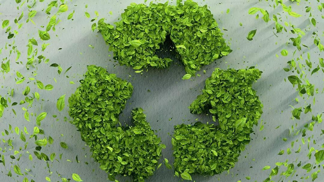 Sıfır Atık Vakfı COP31 Dijital Koordinasyon Merkezi ni hayata ge&ccedil;irdi 2